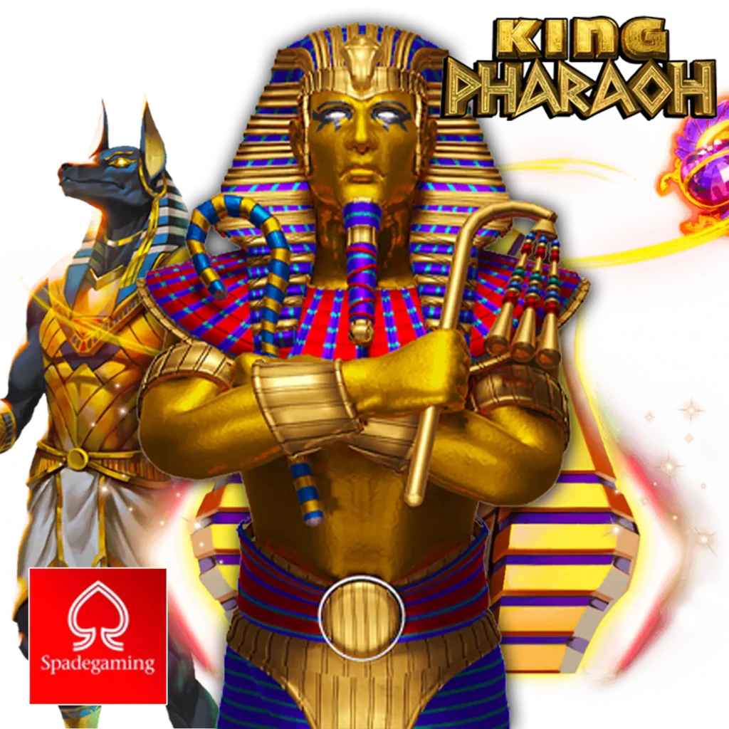 ali zlot ออโต้